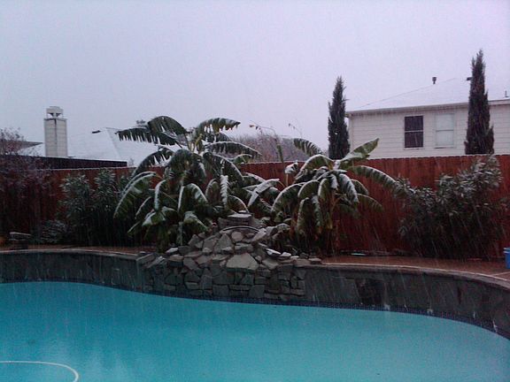 Backyard pool after snowfall