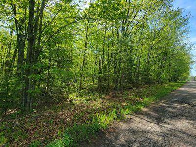 Pleasant Acres Ln, Summit Lake, WI, 54485