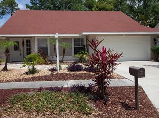 7229 Hollowell Dr, Tampa, FL 33634