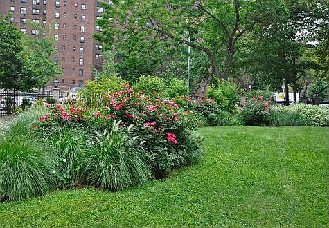 1st image of 2190 Madison Ave APT 5A