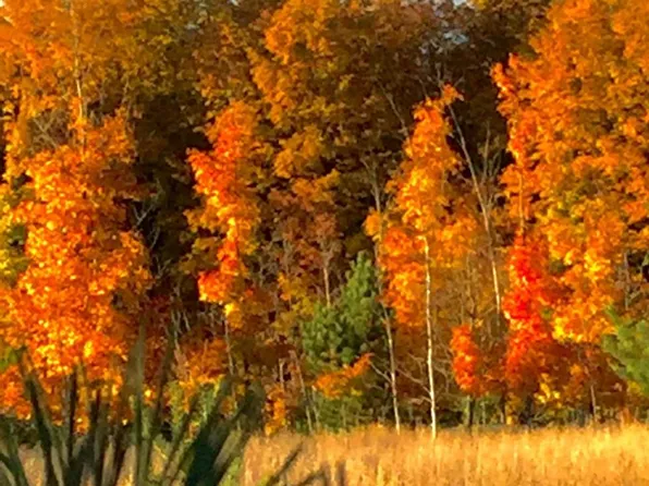 Valley Rd, Rapid City, MI 49676