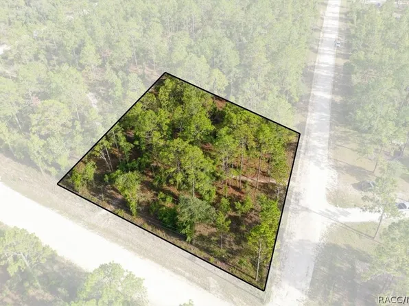 0 NE 131st Ter #10, Williston, FL 32696