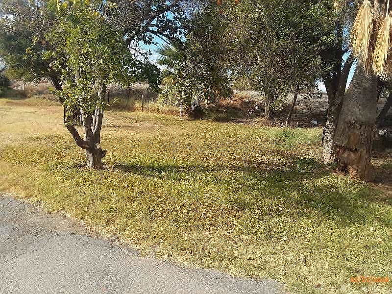 2nd image of 220 N 12th Ave