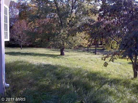 Backyard2