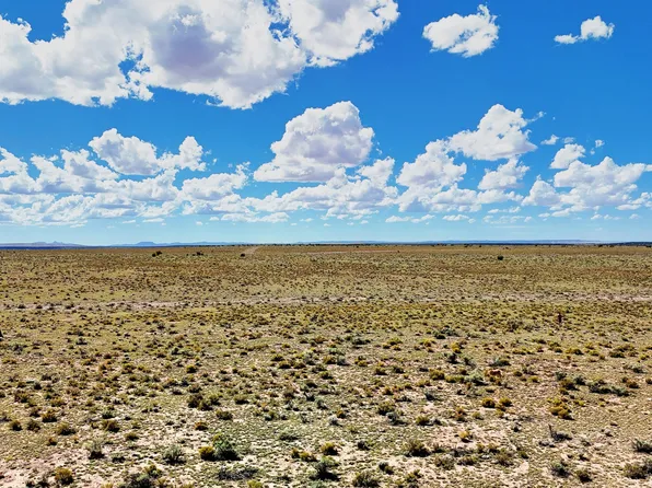 6622 S Prairie Grass Ln, Williams, AZ 86046