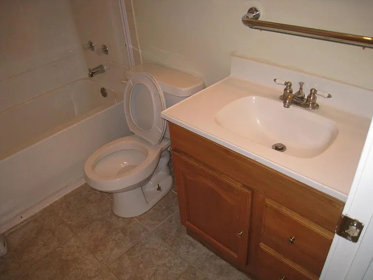 Sink and Toilet