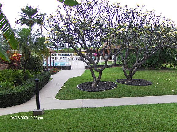 garden setting just steps from the pool