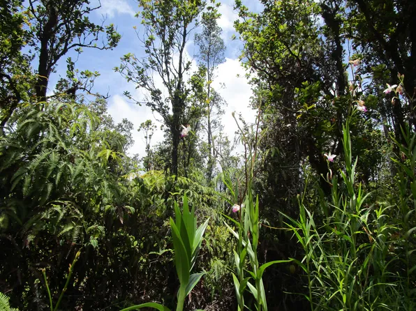 Punahele St Lot 46, Mountain View, HI 96771