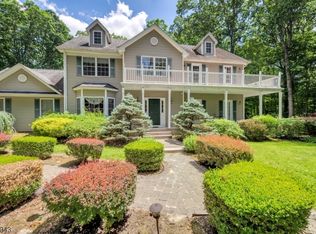 3 Pond View Ln, Flanders, NJ 07836