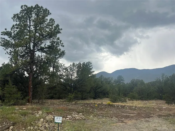 28933 Timber Ridge LOT 22, Buena Vista, CO 81211
