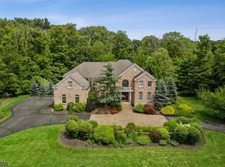 11 Dolly Bridge Rd, Randolph, NJ 07869