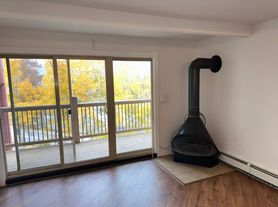 2411 Ryan Gulch Ct, Silverthorne, CO