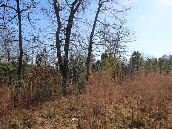 5th image of 001-00494 Tater Knob Ln