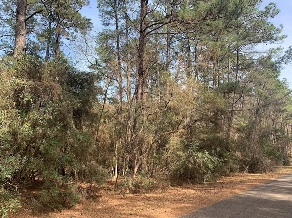 19 Pavlock Rd Lot 19, Navasota, TX 77868