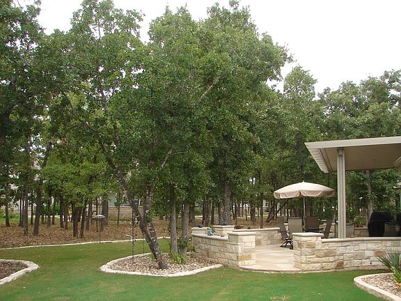 Densely wooded greenbelt