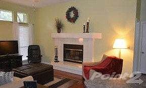 Fireplace in Family Room