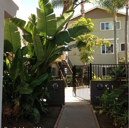 3rd image of 4323 Mission Bay Dr APT V