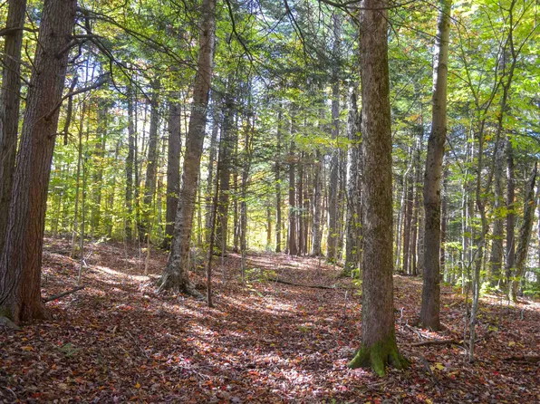 0 Burdock Lane #7, Ludlow, VT 05149