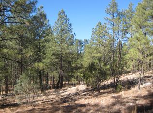 2810 Coyote Rdg, Happy Jack, AZ 86024