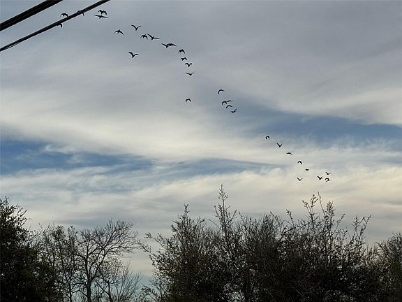 2nd image of 0 County Road 46