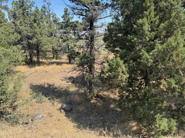 Unit Lake Shore Dr #3-lot 161, Weed, CA 96094