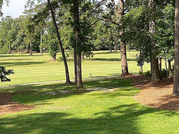 backyard view of golf course