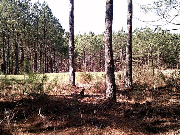 3rd image of 0 Houston Valley Rd