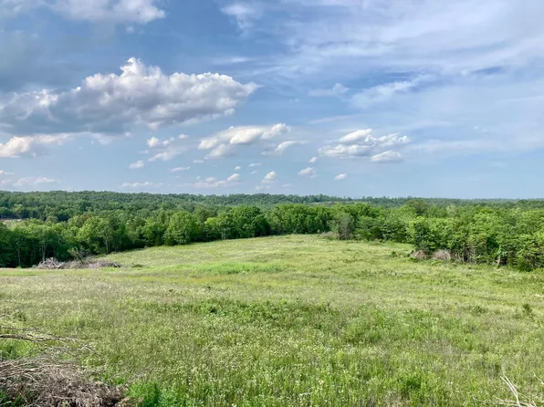 000 Saint George Road #48, Hartville, MO 65667