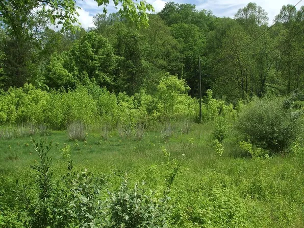 0 Little Elk Hode Rd, Warfield, KY 41267
