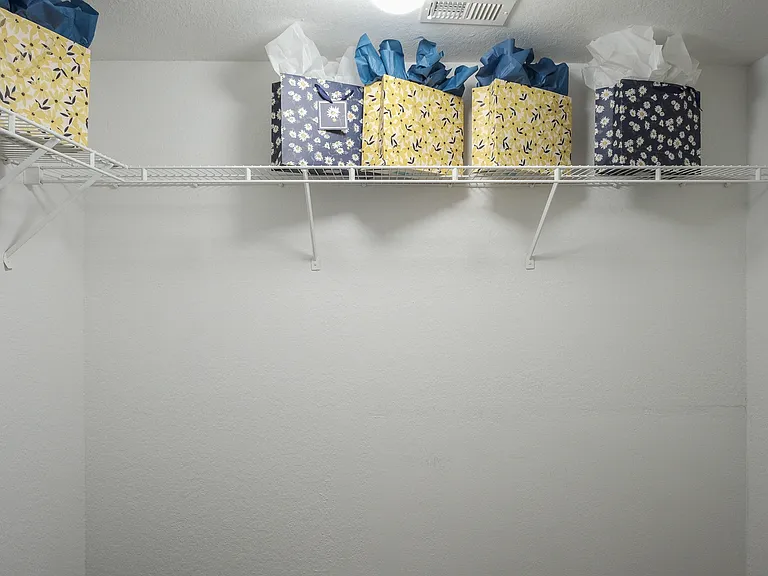 The Landings at Boot Ranch | Palm Harbor FL | Model Closet