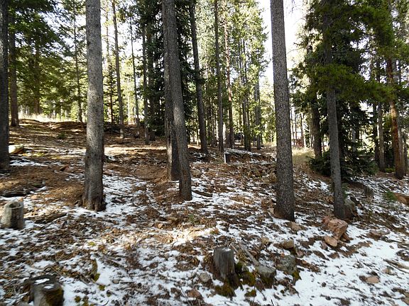 3rd image of 9088 Black Mountain Dr