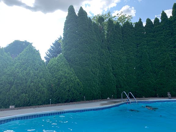 4th image of 38635 Gainsborough Dr