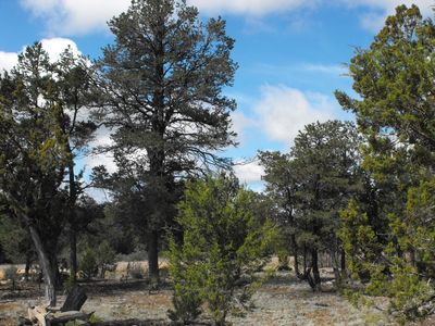 8295 Haven Crest Dr, Happy Jack, AZ, 86024