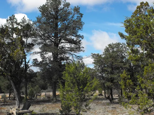 8295 Haven Crest Dr, Happy Jack, AZ 86024