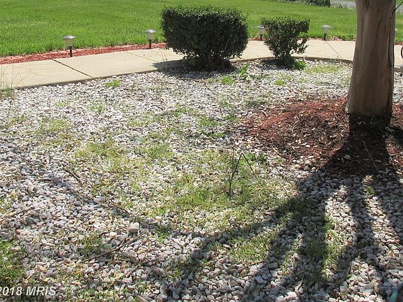 Front Yard Landscaping