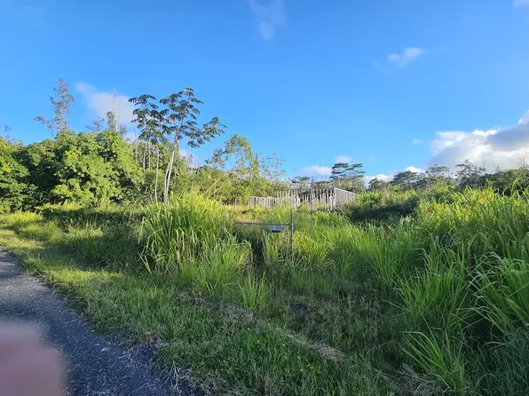 15-2016 14th Ave Lot 453, Keaau, HI 96749