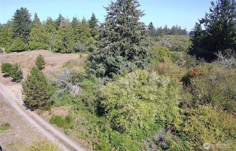 2nd image of 0 Oysterville Road