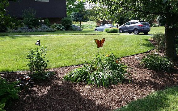 3rd image of 989 Forest Hill Dr