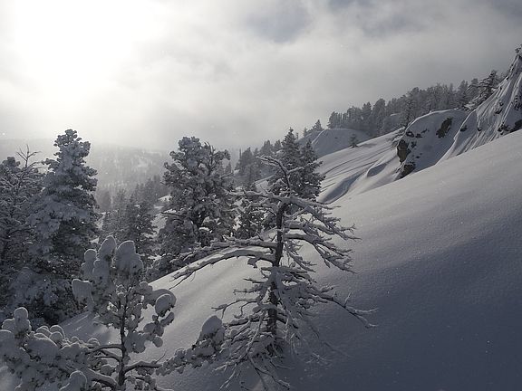 Powder Mountain