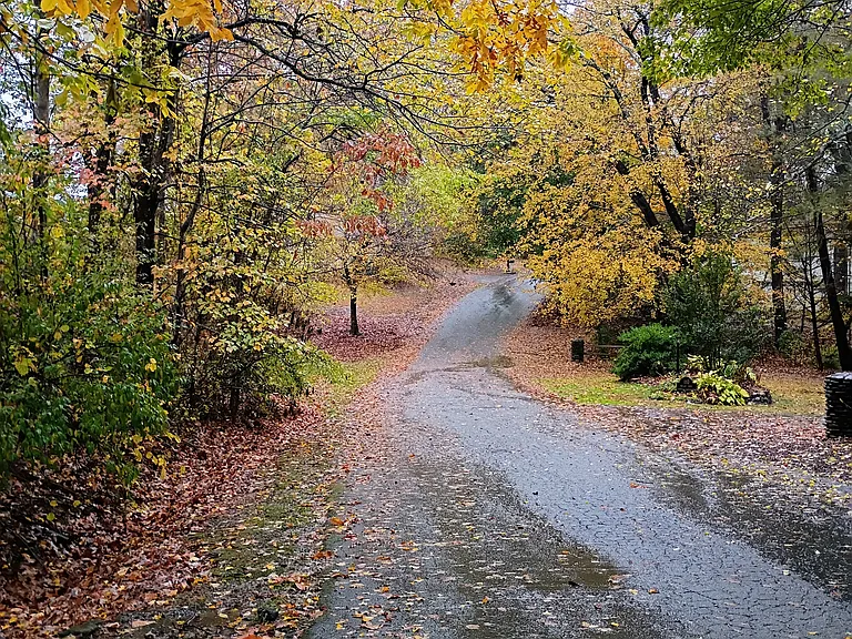 During the fall, you will enjoy stunning foliage, with breathtaking colors all along our road.