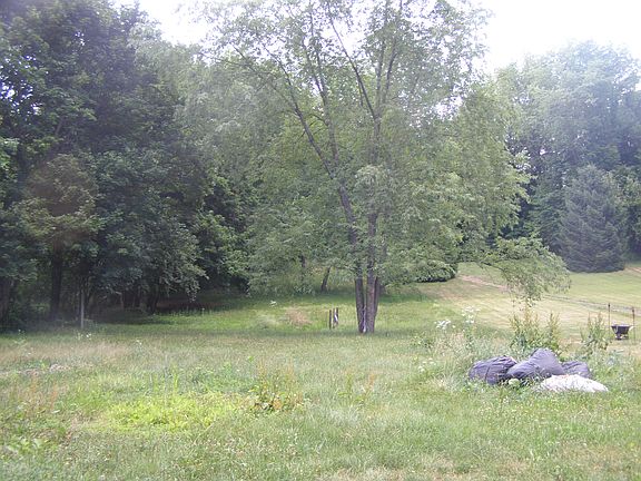 Back yard,  1 acre