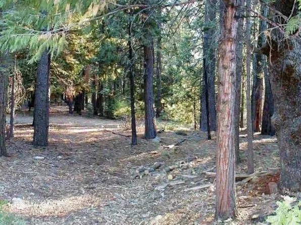 3457 Hoopa Cir, Camp Connell, CA 95223