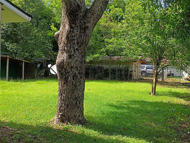2457 Brevard Dr — Photo 11