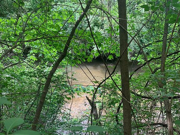 Paint creek in back of master bedroom