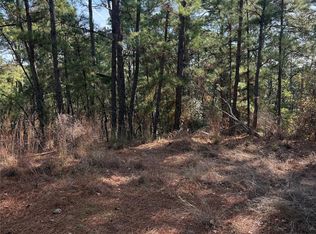 106 Llio Ct, Bastrop, TX 78602