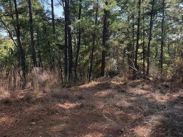 106 Llio Ct, Bastrop, TX 78602