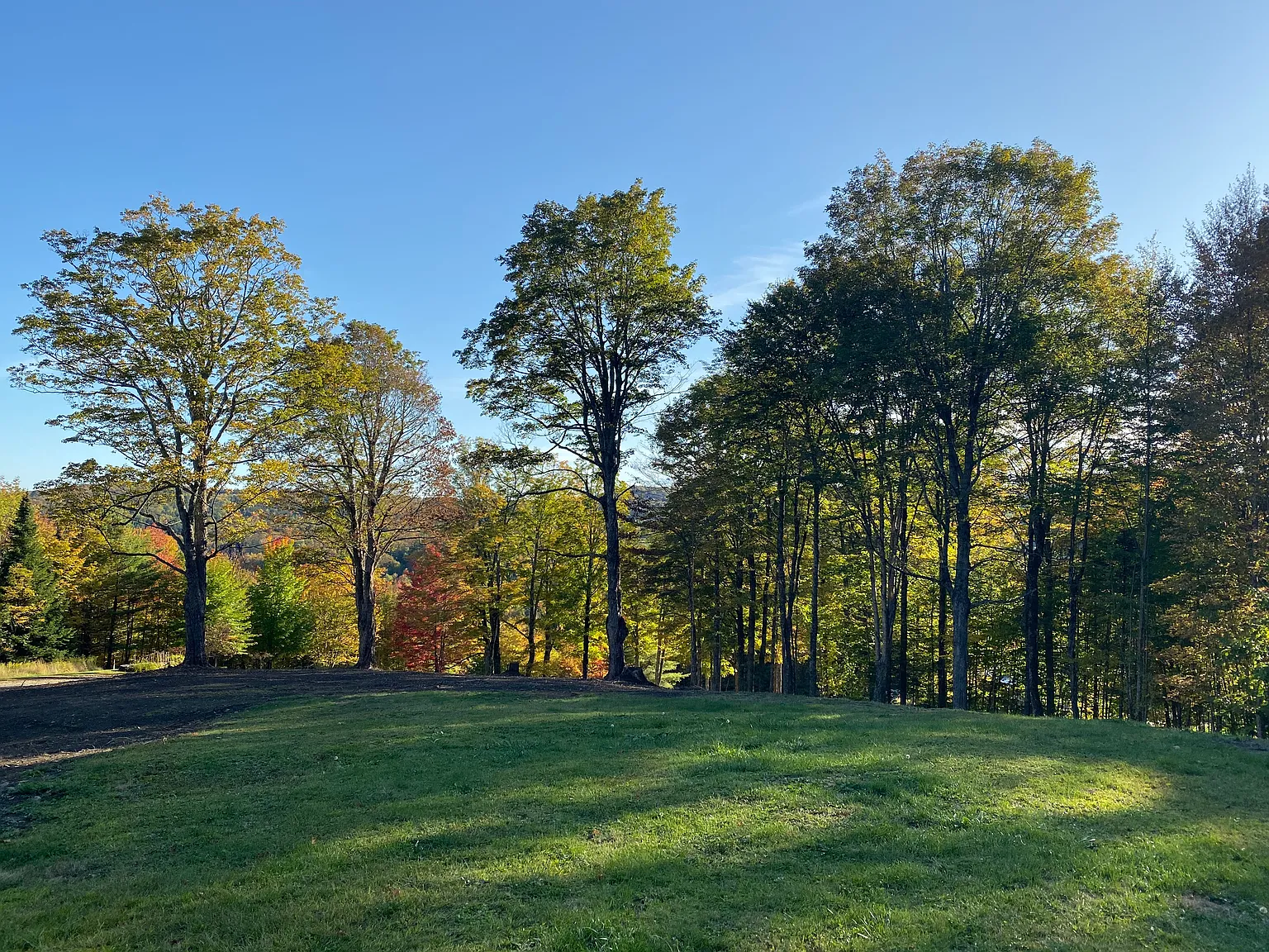 3 bed, 2200 sqft, $2,800 — Photo 3