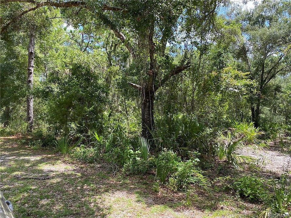 2nd image of 459 N Candle Point
