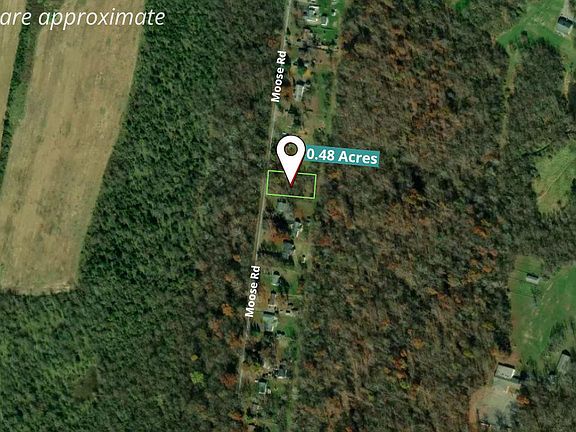 3rd image of Moose Rd