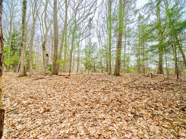 Piney Rd, Manistee, MI 49660